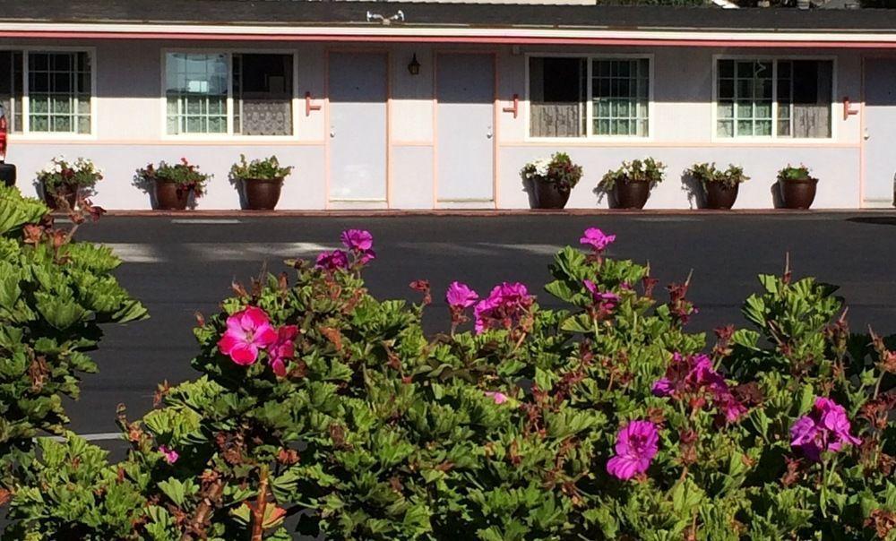 Sundown Inn Of Morro Bay Dış mekan fotoğraf